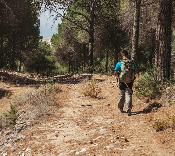 hiker-forest_23-2147665138